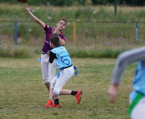 Pionirska fleg liga Srbije