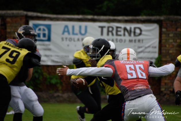 Sport Klub prva liga Srbije Kikinda Mammoths vs Jagodina Blacks hornets