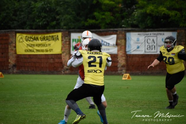 Sport Klub prva liga Srbije Kikinda Mammoths vs Jagodina Blacks hornets
