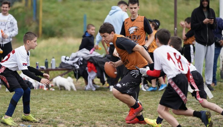 Pionirska fleg liga Srbije