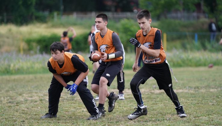 Pionirska fleg liga Srbije