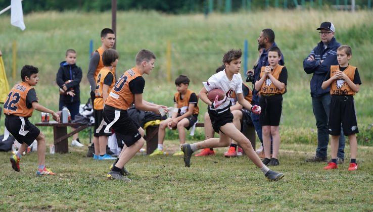 Pionirska fleg liga Srbije