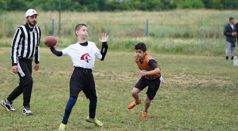 Pionirska fleg liga Srbije