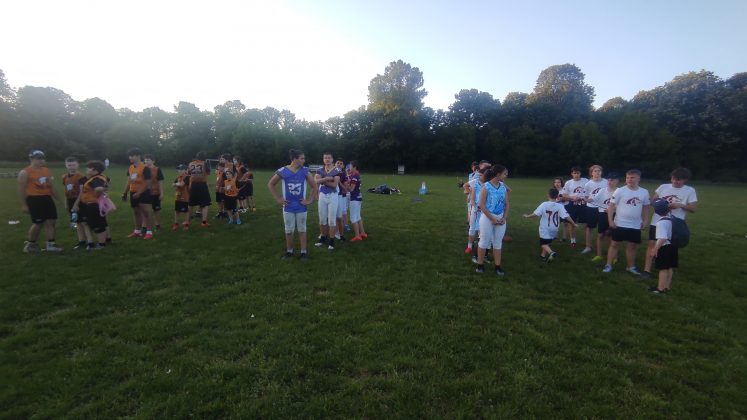 Pionirska flag liga Srbije u15
