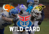 wild card