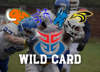 wild card