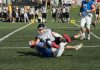 wild boars blue dragons polufinale