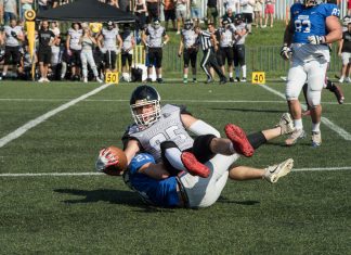 wild boars blue dragons polufinale