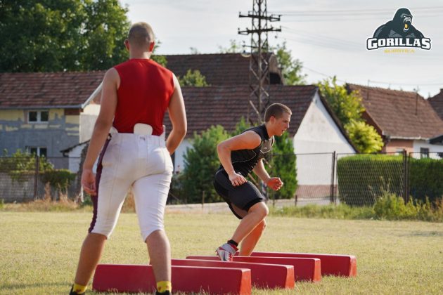 Vienna Vikings Gorillas Subotica
