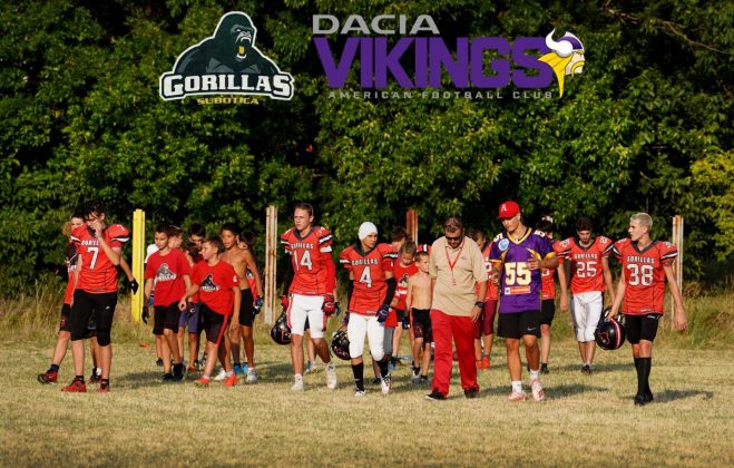 Vienna Vikings Gorillas Subotica