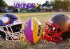 Vienna Vikings Gorillas Subotica