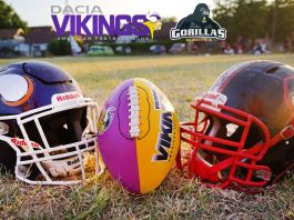 Vienna Vikings Gorillas Subotica