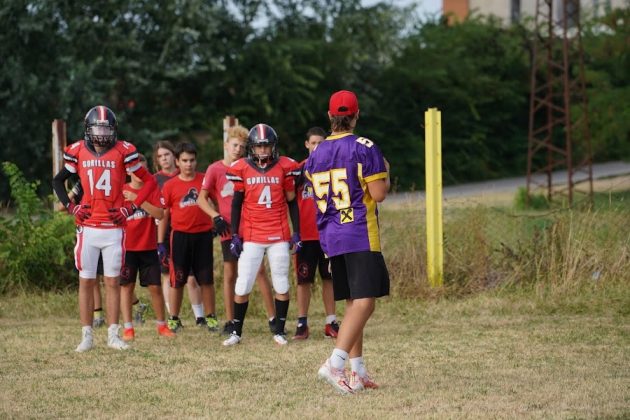 Vienna Vikings Gorillas Subotica