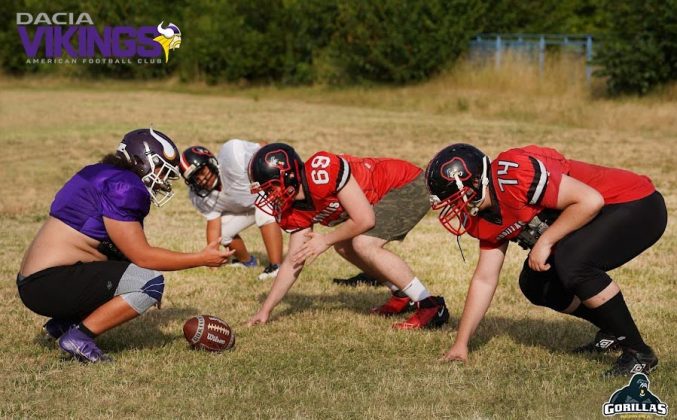 Vienna Vikings Gorillas Subotica