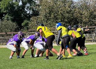 JLS Juniorska liga Srbija Royal Crowns Black hornetsr