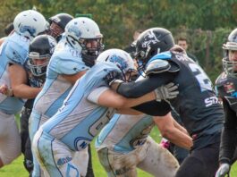 Finale Juniorske lige Srbije: Wild Boars i Blue Dragons za titulu u nedelju u Kragujevcu finale Juniorske lige Srbije 2025