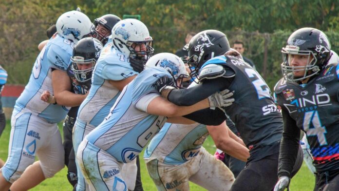 wbvsbd2025 finale Juniorske lige Srbije 2025